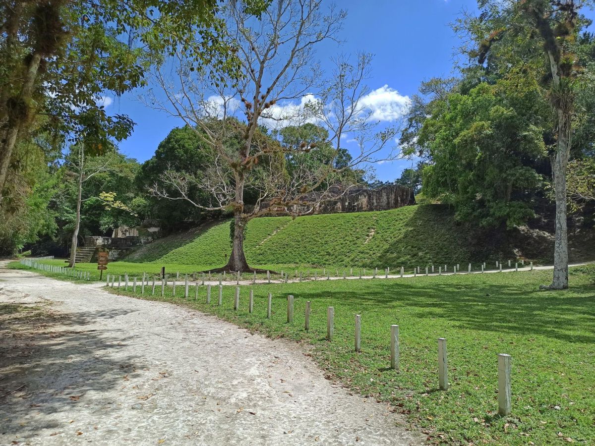 Guía Turística de la Calzada Tozzer, Tikal, Petén, Guatemala