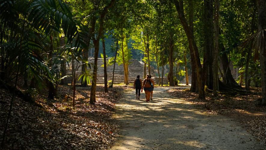 Guía Turística de las Calzadas Mayas de Yaxhá, Petén, Guatemala