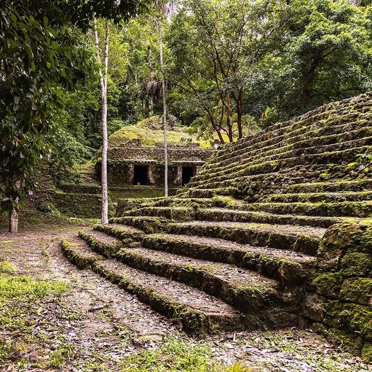 Guía Turística del Grupo Monos, El Mirador, Petén, Guatemala