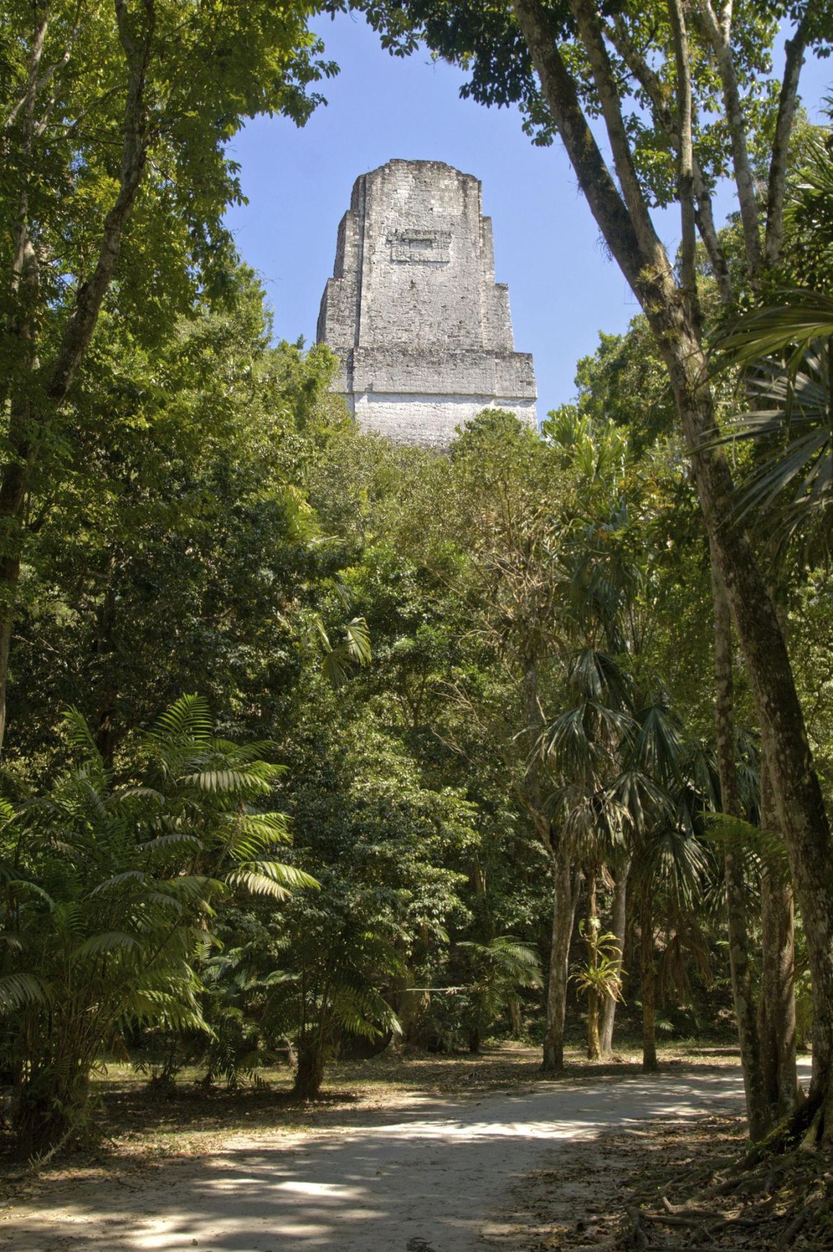 Guía Turística del Templo III – Templo del Sacerdote Jaguar, Tikal, Petén, Guatemala