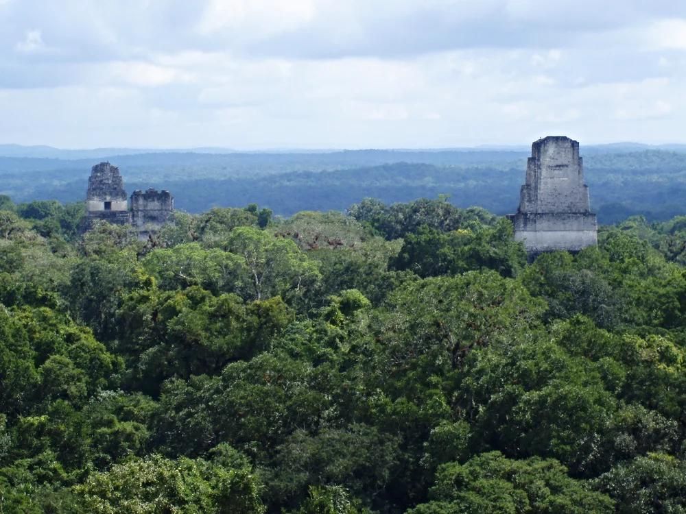 Guía Turística del Templo IV – Templo de la Serpiente Bicéfala, Tikal, Petén