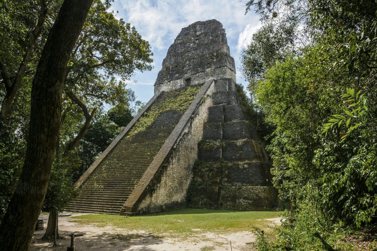 Guía Turística del Templo V de Tikal, Petén, Guatemala