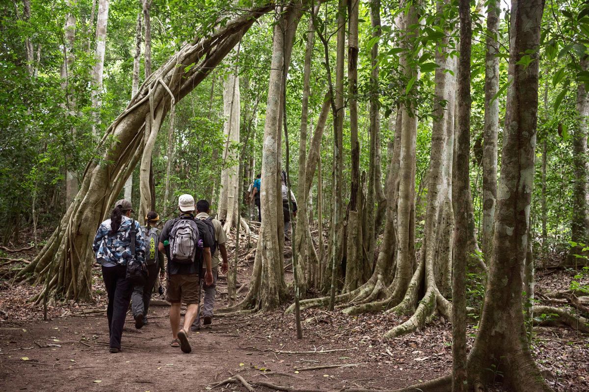 Guía Turística para Visitar El Mirador, Petén, Guatemala